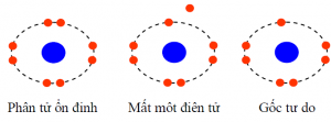 Minh hoạ hình ảnh gốc tự do và tế bào ổn định
