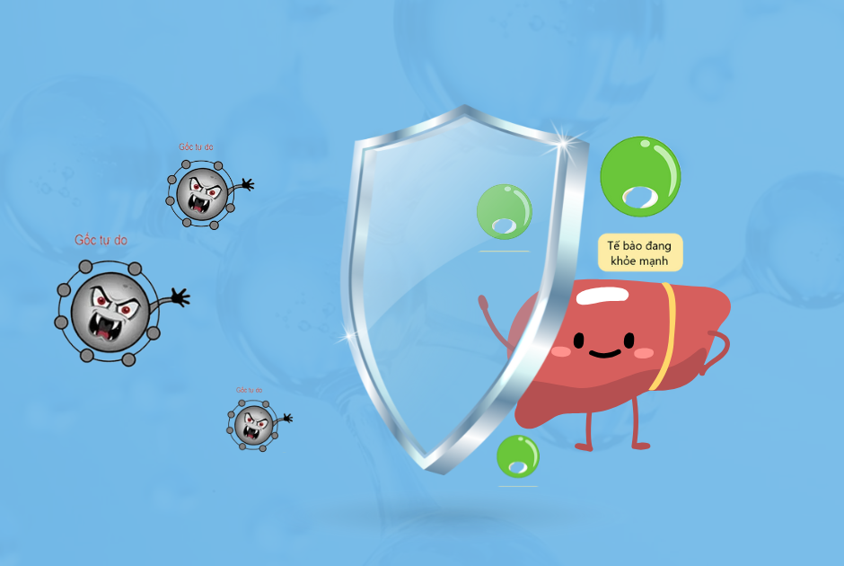 Alka Gluta hỗ trợ thải độc gan bảo vệ cơ thể trước gốc tự do gây hại