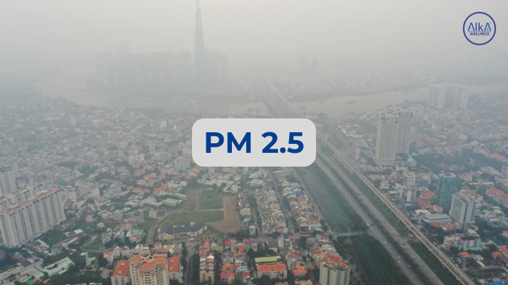 Ô Nhiễm Không Khí: 3 Tác Hại Vô Hình Đang "Ăn Mòn" Tuổi Thọ