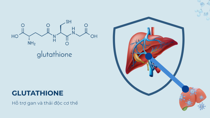 Thiếu Glutathione tăng thêm áp lực lên khả năng thải độc của gan