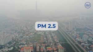 Ô Nhiễm Không Khí: 3 Tác Hại Vô Hình Đang "Ăn Mòn" Tuổi Thọ
