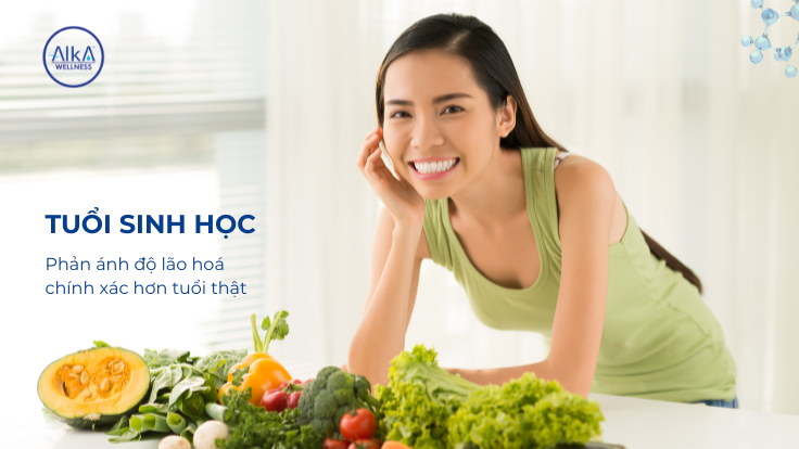 Tuổi sinh học tế bào phản ánh chính xác mức độ lão hoá hơn tuổi thật