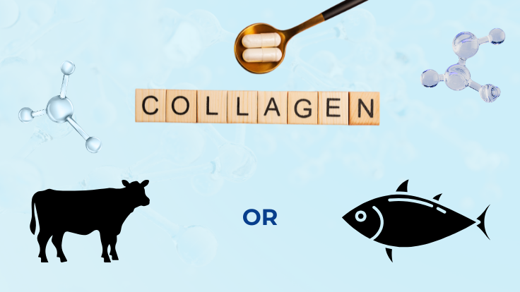 Loại collagen nào giúp da căng mịn, đầy nhăn trong 16 loại thường gặp