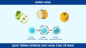 4 nguyên nhân gây thiếu Glutathione - lối sống hiện đại rất dễ mắc phải