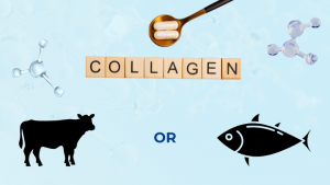 Loại collagen nào giúp da căng mịn, đầy nhăn trong 16 loại thường gặp