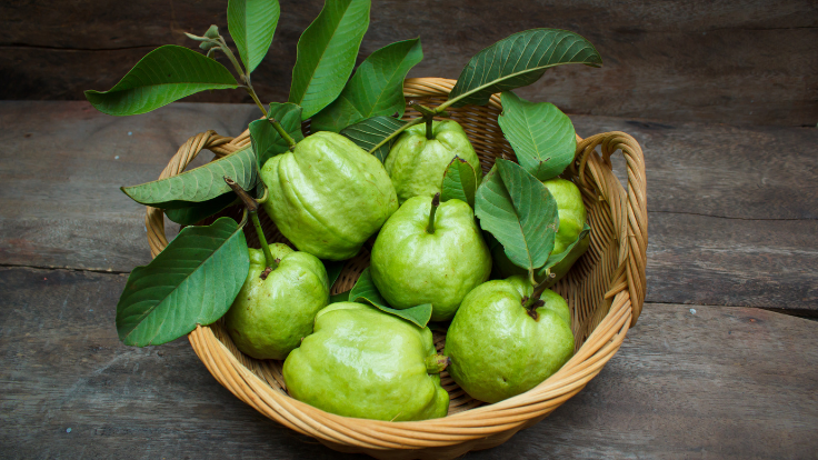 Quả ổi chứa Vitamin C cap gấp nhiều lần cam